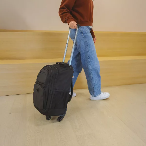 Sac professionnel transportable avec roulettes