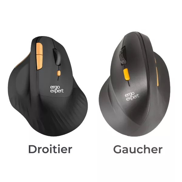 Souris verticale - Ergonomie - TMS - tension - douleurs - main - poignets - bras